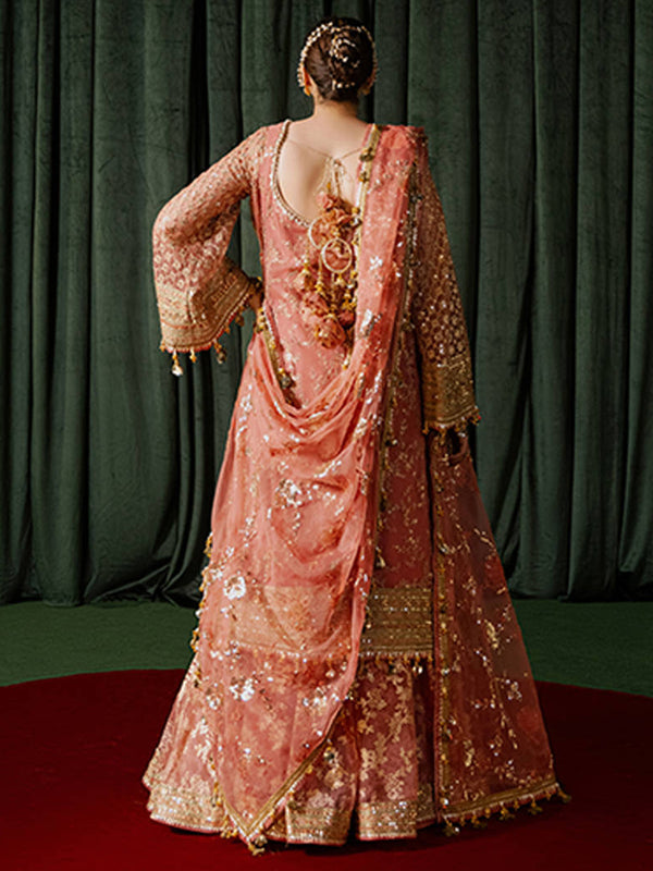 Mohsin Naveed Ranjah - Guriya Rani (STITCHED) | 3pcs | Ready-To-Wear Dress (All Sizes)🧵⚡